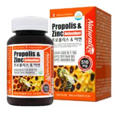 비염에좋은영양제