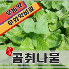 유기농두릅
