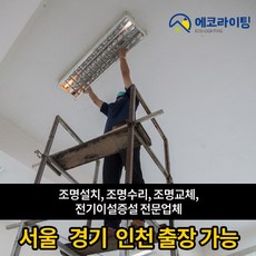 조명설치기사 설치공사 전기 이설 증설 전문업체, 설치비용, 1개