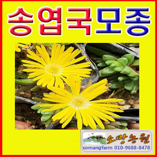 4d47dc30824475a90a8ecc4bdde7180c7a76a29a5a809a80534ecea142e7.png