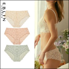 에블린갈라팬티