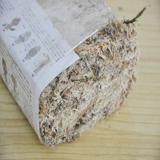 이끼본드