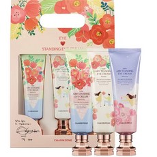 참존메가스탠딩아이크림