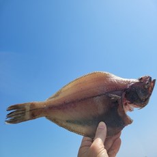 0af1b38b73050ecdf1cf63f541fbe6369fb23c295c2b49abea6fe5fada7b.jpg