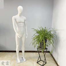 디자이너 지하상가 미대 동대문 부산 모델용 마네킹 웨딩홀 마네킹 동대문 구입 제우스 아프로디테 골프 철사모델 남자 소품 인체 전신 플라스틱 런웨이 남성복 쇼윈도 촬영, 옵션17, 단일옵션