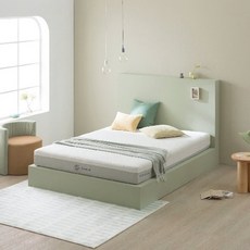 지누스그린티하이브리드