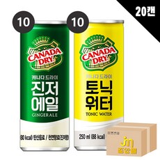 [중앙몰] 캐나다드라이 250ml 진저에일 10캔 + 토닉워터 10캔 총20캔, 1세트