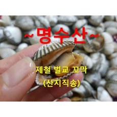 국내산. 퉁퉁이 벌교 새꼬막/알이 꽉찬 퉁퉁이 벌교 새꼬막/ (대) 채취.당일 발송 2kg 3kg 4kg 5kg, 1개