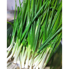 제주산 영양 만점 제주 깐쪽파 쪽파 혈액 순환 개선, 1개, 1kg