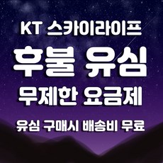 스카이라이프유심