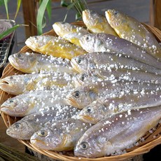 목포참조기