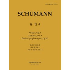 일송미디어슈만