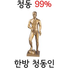 한국표준침구 동인형 청동인형 86cm 인체해부도 경혈인형 혈자리모형, 1개