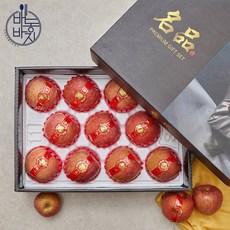 배동바지반달채단무지