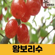 9aaa2811267a8c7145e749100f886ab991c2d0a5e465435f233ec5abc71f.jpg