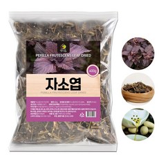 국산 100% 차조기 자소엽 400g 차즈기 보라색 깻잎 소엽