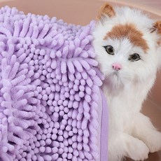 페스룸타올