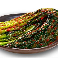 베스테청소기