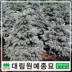 추천4대림원예종묘