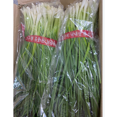 국내산 산지직송) 깐쪽파 다듬은쪽파 당일손질 900g이내, 1개, 900g