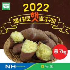 화산농협해남황토밤고구마