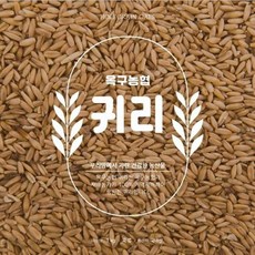옥구농협햇귀리