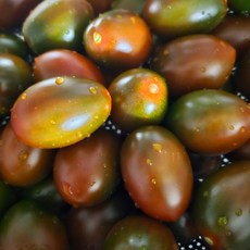 [산지직송] 국내산 흑 대추방울토마토 블랙대추방울토마토 흑대추토마토 대추방울토마토 흑토마토 방울토마토 tomato, 1개, 2kg