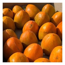 B/ 대봉감 후숙 홍시 1kg 대왕홍시 대봉감 코카콜라, 1개