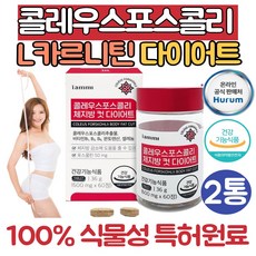 콜레우스포스콜리 추출물 카르니틴 다이어트/뱃살 체지방 컷 다이어트 보조제 L카르니틴 엘카르니틴, 60정, 2개, 60정