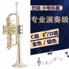 바하트럼펫수입