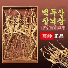 중국산삼
