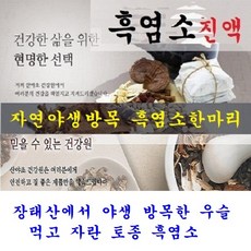 산야초건강원 흑염소한마리진액(60일분)140팩 박용복 천기누설 원조 토종 자연 방목 흑염소 염소 녹각 우슬 쇠 무릎 여성 여자 노인 보양 보신 기력 피로 회복 갱년기 성장기 뼈 몸 에 좋은 약초 효능 음식 식품, 140팩, 110ml