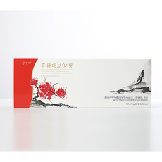 양갱애 홍삼대보양갱 10입, 450g, 1세트