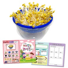 콩나물키우기키트만들기대장