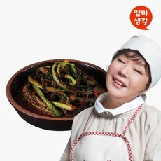 김수미 엄마 생각 갓김치 1kg, 단품
