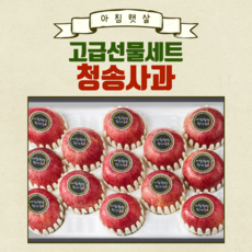 청송사과 고급-선물1호4kg(특상품)(9~10과)팬캡, 1세트
