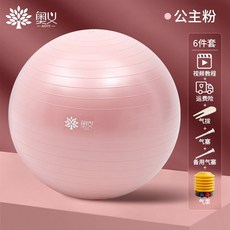 임산부기구필라테스.책