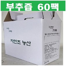 부추즙 진액 60팩(120ml) A자연 노지 부추 진액 부추100%진한그맛 자연그대로, 120ml, 60개