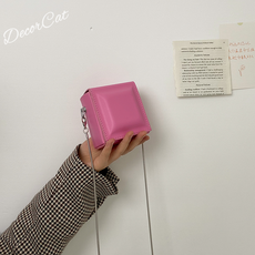 디올미니크로스백