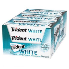 Trident White Wintergreen Sugar Free Gum 트라이던트 화이트 윈터그린 충치예방 무설탕 껌 16피스 9팩 미국 유럽 리뷰추천 캐나다 금연 껌