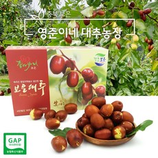 [21햇대추] 보은 생대추 24mm 1kg GAP 인증 농가 영준이네 대추농장