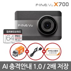 파인뷰x700