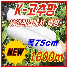 코아네트가격 TOP01
