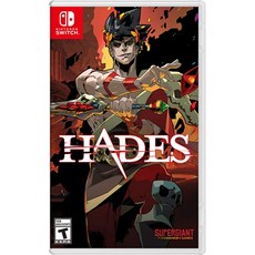 닌텐도스위치rpg
