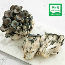 무농약 느타리 흑타리 버섯 볶음 샤브샤브 전골 친환경 산지직송 300g, 1개