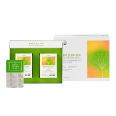 비타민하우스 혈행케어 징코나토큐 600mg x 60정 2개