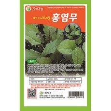 홍염