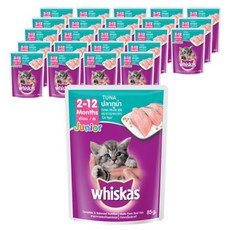  위스카스 고양이 주식 파우치 주니어 참치, 생선, 85g, 48개입 