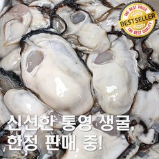 바위굴 TOP01