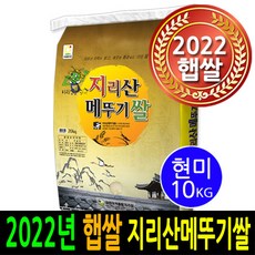 골든밥95